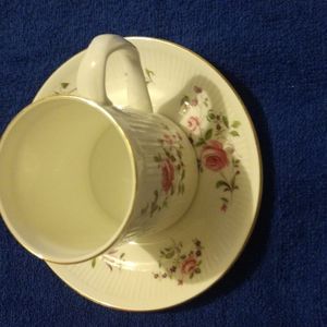 Fine bone china tea cup and saucer